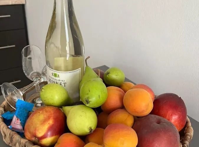 лятно студио Appartement